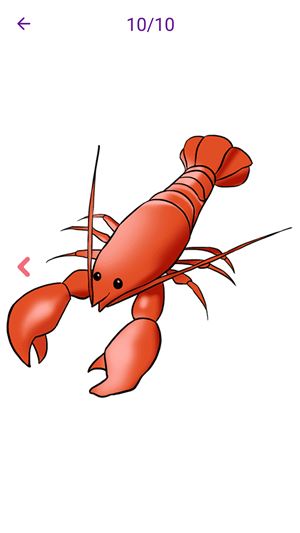 每笔都生动Every stroke is vivid for Android v1.0 安卓版