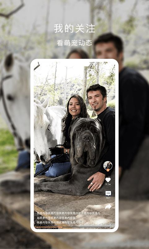 栖宠 for android v1.0.5 安卓手机版