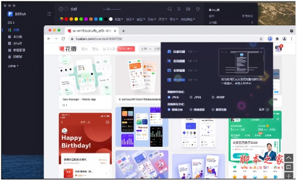 Billfish(免费素材管理工具) v4.0.5 免费安装版 附安装说明