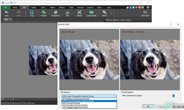 图片增强工具NCH PhotoPad Professional v14.48 中文安装免费版
