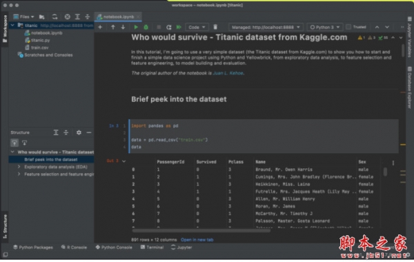 JetBrains DataSpell(数据科学IDE) v2026.3.1 Mac官方苹果正式版(支持M系列)