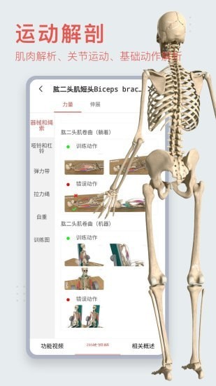 3Dbody艺用(人体模型软件) v8.8.63 安卓版