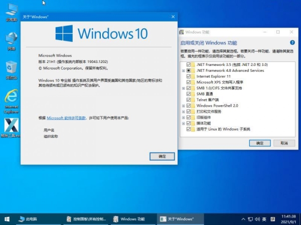 Windows10 22H2无广告纯净优化精简版 22H2 Build v19045.4529 4in1 小修制作