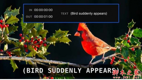 FCPX/AE/PR视频字幕刻录插件 Caption Burner 1.0 Mac 苹果版