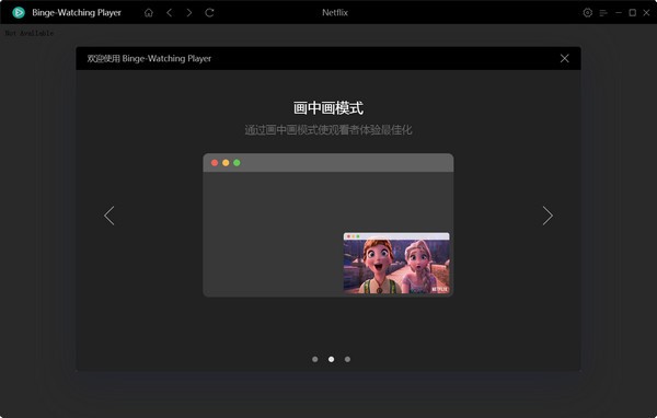 Netflix 媒体播放器Binge-Watching Player v1.0.1 中文安装版