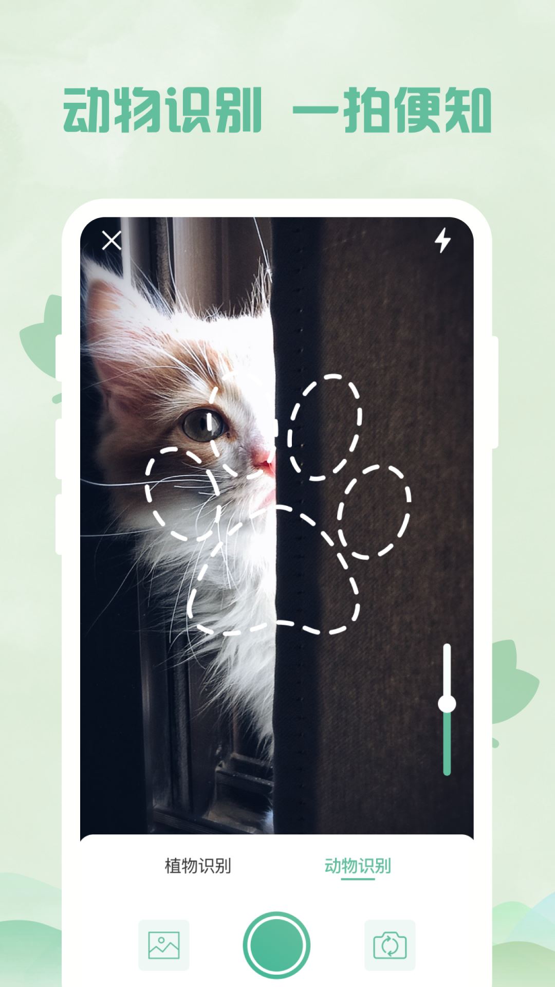识别全能王(动植物识别) v1.5 安卓版