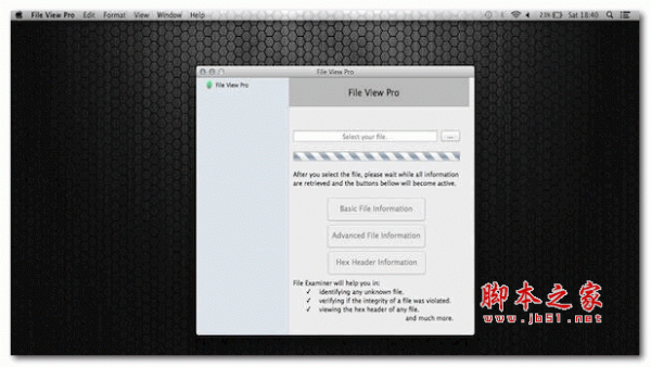 FileViewPro for Mac 文件管理器 V3.1.3 苹果电脑版