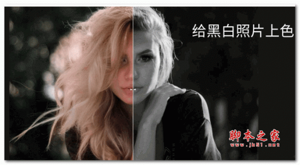 黑白照片上色软件Image Colorizer Pro v2.4.0 安装免费版