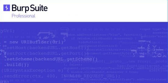 渗透测试软件Burp Suite Professional v2026.12.3 免费版