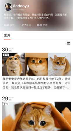 宠年年 for Android v6.8.3 安卓手机版