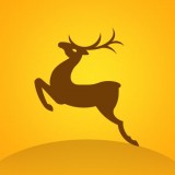 行深金鹿 for android v1.6 安卓手机版