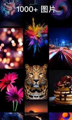 灵猫壁纸大全 for Android v1.0.0 安卓手机版