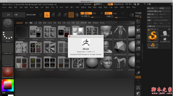Pixologic ZBrush 2021(三维数字雕刻软件) v2021.7.1 Mac 中文破解版(附教程)