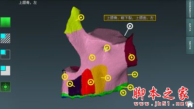 人体解剖学图集 for Android V3.10.5 安卓手机版
