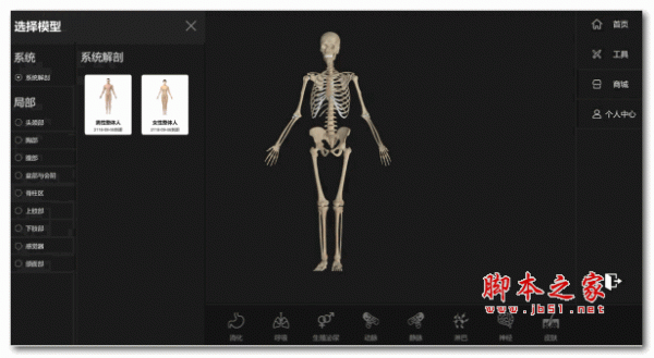 维萨里人体3D解剖软件 v1.3.0.0 官方安装版