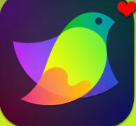 矢量图设计软件 Amadine Mac v1.5.5 最新苹果TNT版