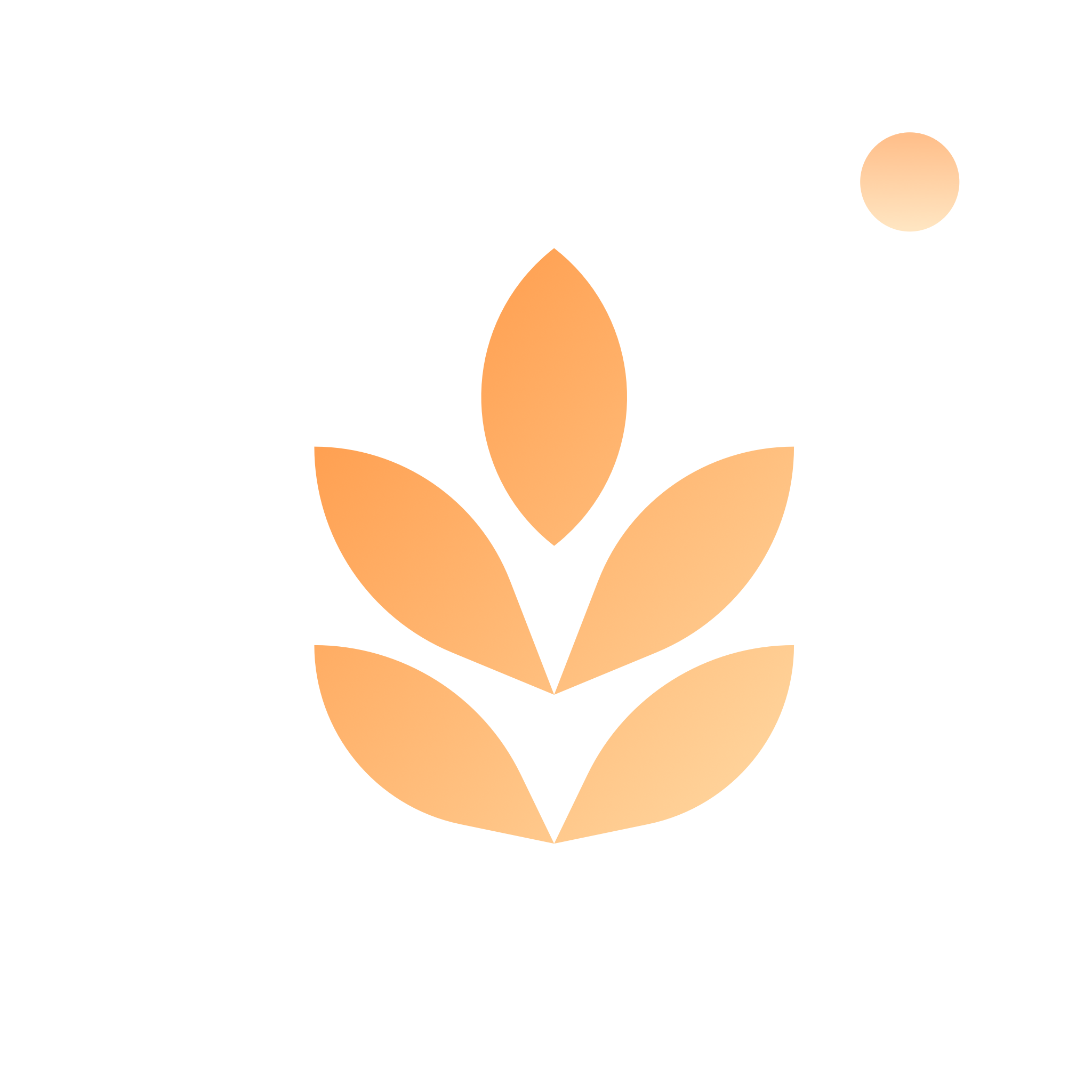 大麦相机 for Android v1.0 安卓手机版