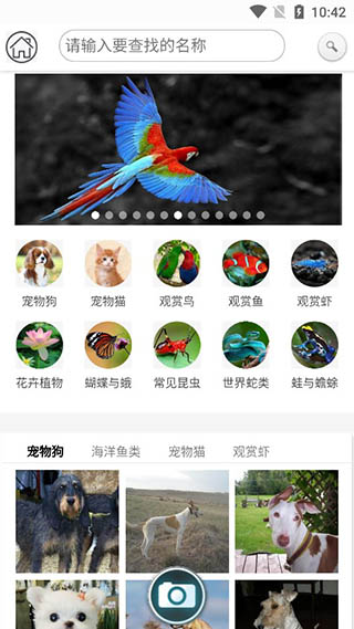 万物识别 for Android v1.0.7 安卓版