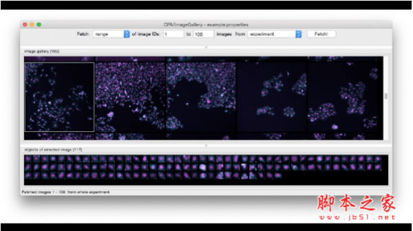 CellProfiler Analyst(数据交互式探索软件) for Mac v2.2.1 苹果电脑版