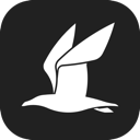 讯飞文档(在线多人文档协作编辑软件) for mac v2.1.1145 苹果电脑版