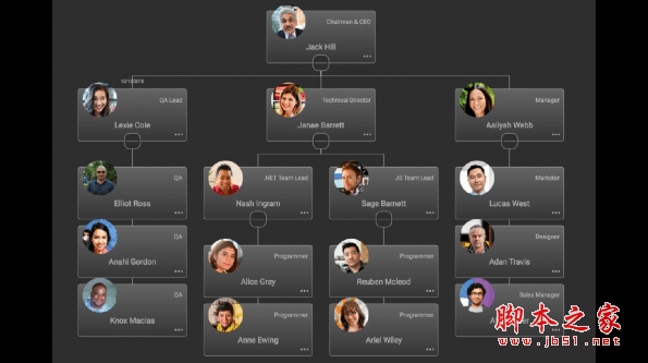 OrgChart JS(制作流程图软件) for Mac v7.1.97 苹果电脑版