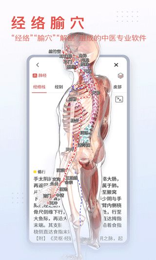 3Dbody解剖(医学解剖模型) v8.8.82 安卓版