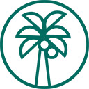 CoCoCut视频器Chrome插件 v3.54 官方免费版(附使用方法)