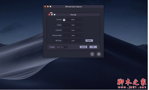 DRmare Audio Capture(音频采集器) for Mac v2.0.0 TNT苹果电脑版