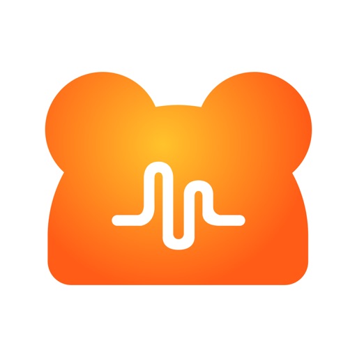 NN-游戏语音社交开黑平台 v3.4.6 苹果手机版