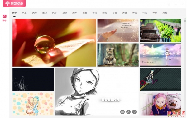 蘑菇壁纸(桌面壁纸软件) v2.0.1.21218 官方免费安装版