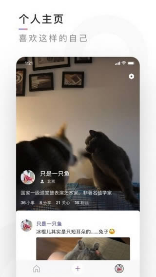 腾讯有记(社交软件) for Android v0.1.13 安卓版