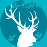 云上中国(自然公益主题摄影平台)  v1.0 安卓版