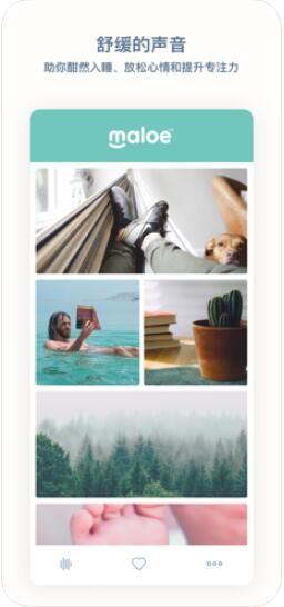 Maloe(解压白噪音) for iphone v1.0.5 苹果手机版