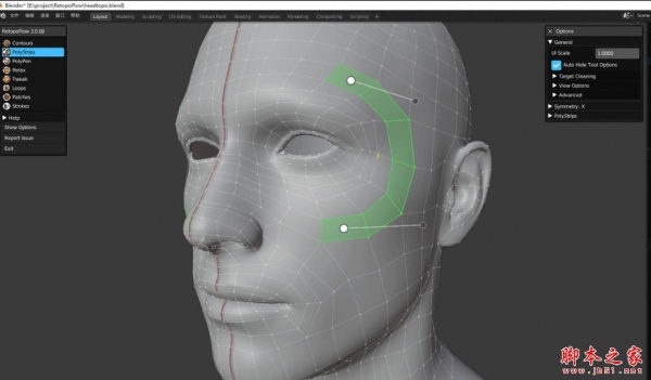 blender高级多边形自动拓扑插件RetopoFlow 4 V4.02 官方免费版