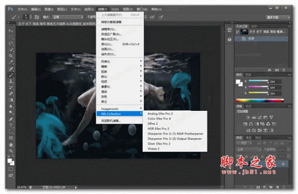 PS滤镜插件套件 DxO Nik Collection 2020 v3.0.8 安装版((附教程) 64位