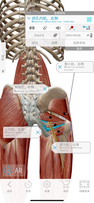 2026人体解剖学图谱 for iPhone v2026.5.09 苹果手机版