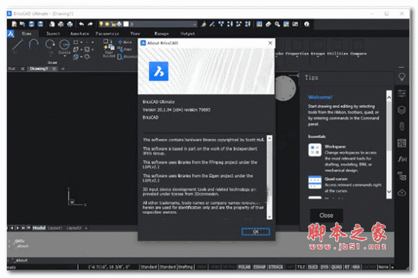 Bricsys BricsCAD Platinum v20.1 白金最新版(附安装教程) 32位