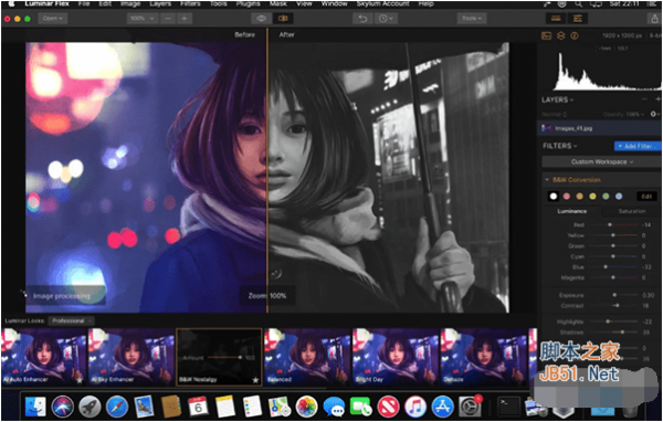 Luminar Flex for Mac(照片滤镜增强工具) V1.0.0.5661多语中文 苹果电脑版
