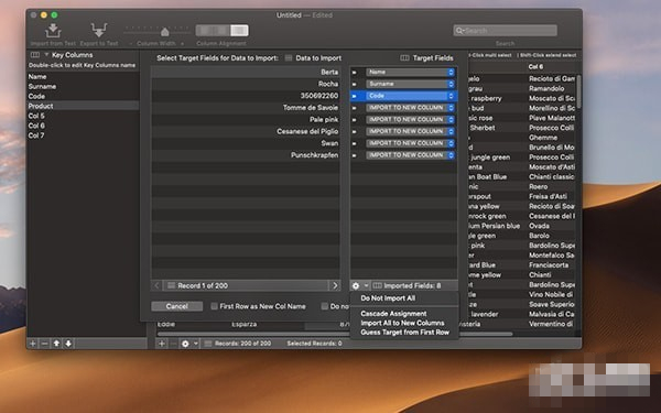 DB Text(代码编辑工具)  V1.10 苹果电脑版