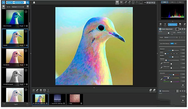 Topaz Studio for Mac(图片编辑软件) V1.14.0 苹果电脑版
