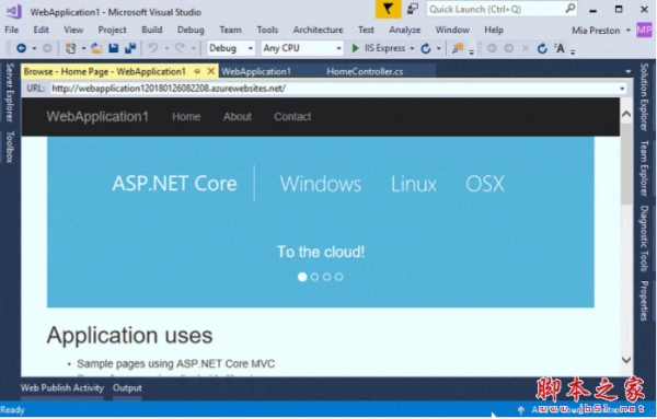 微软Visual Studio 2019 企业版/专业版/社区版 16.10 最新中文预览版