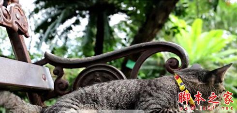 稀点展厅播放软件 v3.4 免费安装版