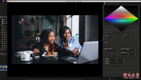 调色软件Picture Instruments Color Cone Standalone Pro 2.3 Mac 激活版