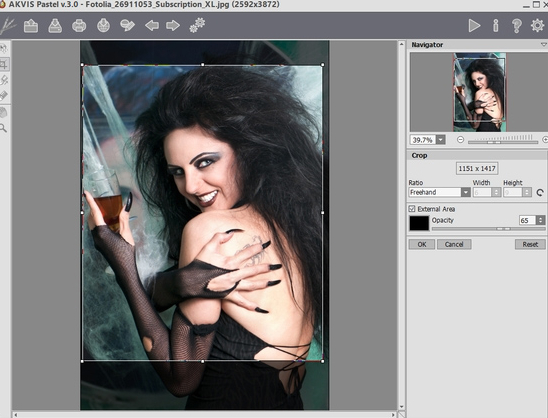 AKVIS Pastel(照片转粉彩画)V4.1.475.17427 64bit 中文特别安装版