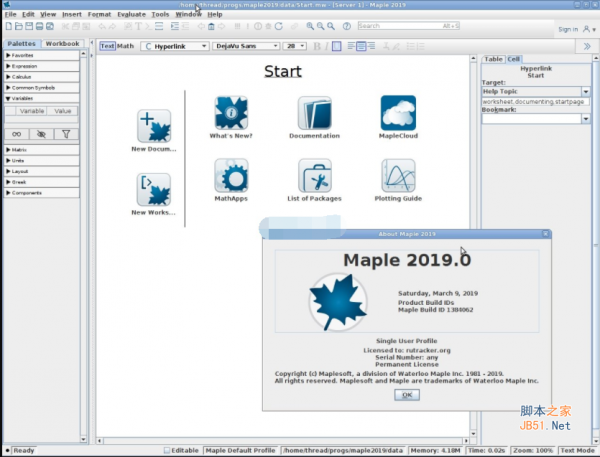 Maplesoft Maple 2019.0 Linux 正式特别版(附激活补丁+步骤)