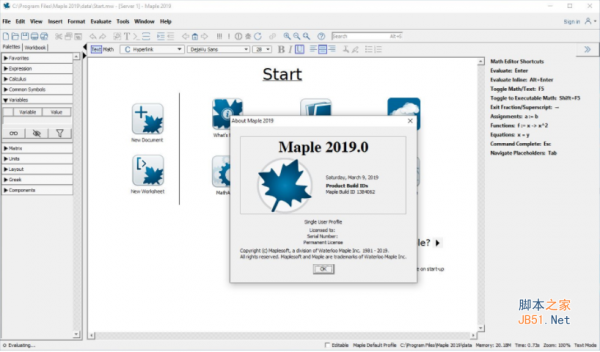 Maplesoft Maple 2019.1 中文正式特别版(含许可替换补丁+教程) Win32位