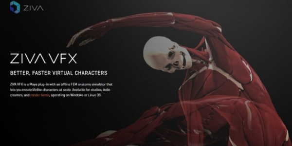 Pixelan SpiceMaster Pro(视频过滤转换插件)V3.02 专业版