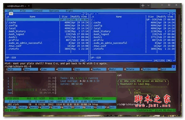 Windows Terminal命令行终端工具 v1.0 官方版