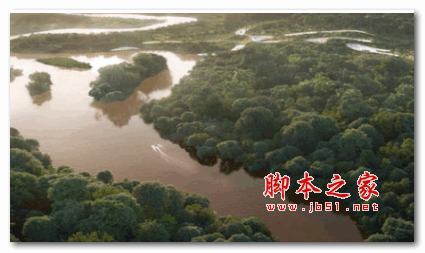 3D植物模型生成插件 Laubwerk Plants Kit 1-7 v1.0.28 for SketchUp 2019 激活版