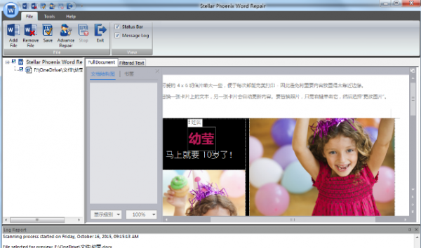 Stellar Phoenix word Repair(word修复器) v6.2.92 英文安装版